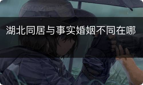 湖北同居与事实婚姻不同在哪
