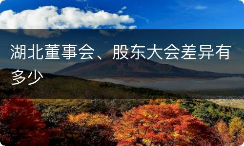 湖北董事会、股东大会差异有多少