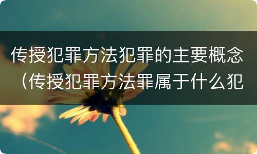 传授犯罪方法犯罪的主要概念（传授犯罪方法罪属于什么犯罪类型）