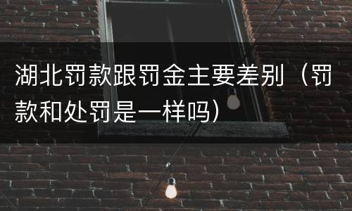 湖北罚款跟罚金主要差别（罚款和处罚是一样吗）