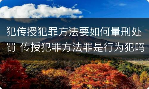 犯传授犯罪方法要如何量刑处罚 传授犯罪方法罪是行为犯吗