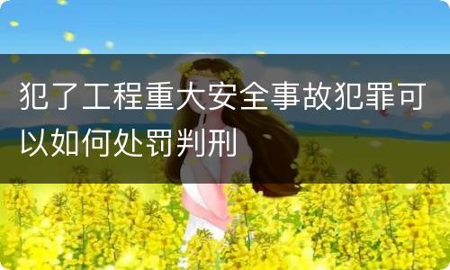 犯了工程重大安全事故犯罪可以如何处罚判刑