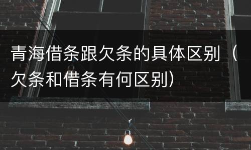 青海借条跟欠条的具体区别（欠条和借条有何区别）