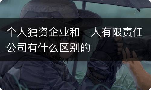 个人独资企业和一人有限责任公司有什么区别的