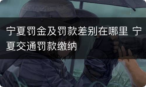 宁夏罚金及罚款差别在哪里 宁夏交通罚款缴纳