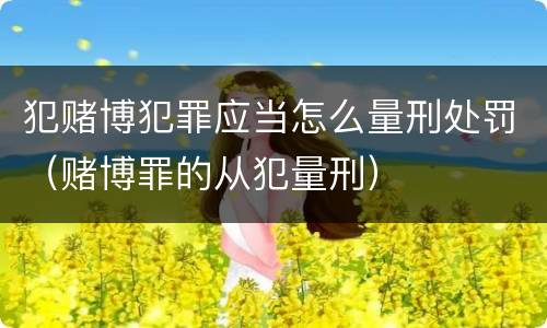 犯赌博犯罪应当怎么量刑处罚（赌博罪的从犯量刑）