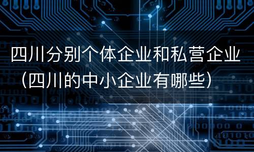 四川分别个体企业和私营企业（四川的中小企业有哪些）