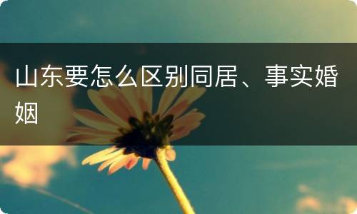 山东要怎么区别同居、事实婚姻