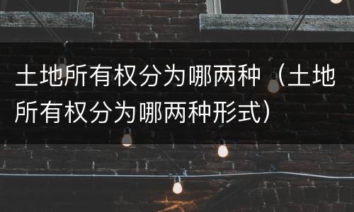土地所有权分为哪两种（土地所有权分为哪两种形式）