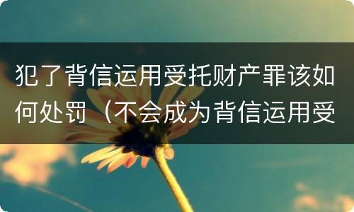 犯了背信运用受托财产罪该如何处罚（不会成为背信运用受托财产罪的犯罪主体）