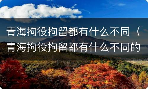 青海拘役拘留都有什么不同（青海拘役拘留都有什么不同的）