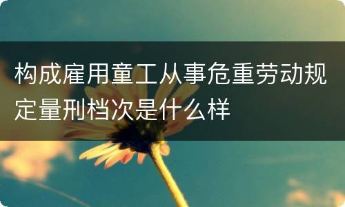 构成雇用童工从事危重劳动规定量刑档次是什么样