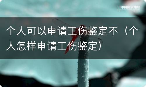 个人可以申请工伤鉴定不（个人怎样申请工伤鉴定）