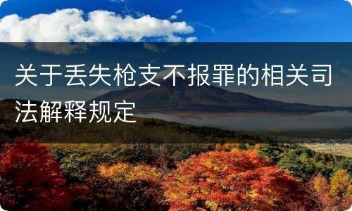 关于丢失枪支不报罪的相关司法解释规定
