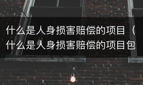 什么是人身损害赔偿的项目（什么是人身损害赔偿的项目包括）