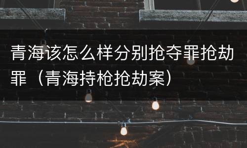 青海该怎么样分别抢夺罪抢劫罪（青海持枪抢劫案）