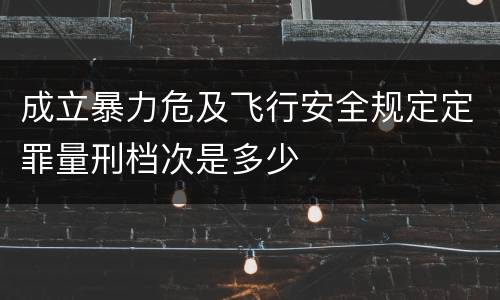 成立暴力危及飞行安全规定定罪量刑档次是多少