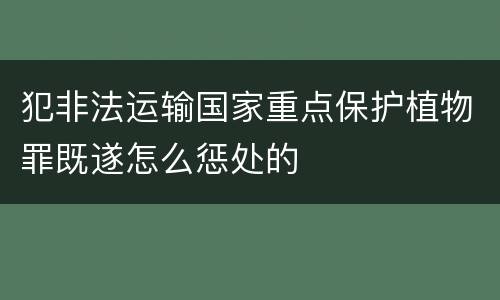 犯非法运输国家重点保护植物罪既遂怎么惩处的