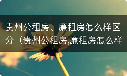 贵州公租房、廉租房怎么样区分（贵州公租房,廉租房怎么样区分的）