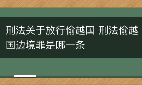 刑法关于放行偷越国 刑法偷越国边境罪是哪一条
