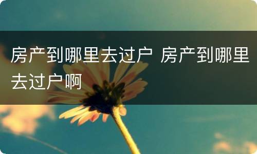 房产到哪里去过户 房产到哪里去过户啊
