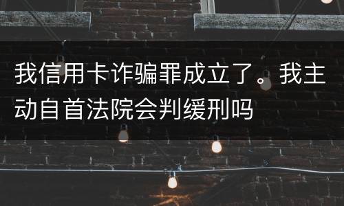 我信用卡诈骗罪成立了。我主动自首法院会判缓刑吗