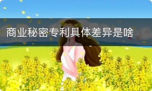 商业秘密专利具体差异是啥