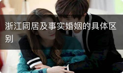 浙江同居及事实婚姻的具体区别