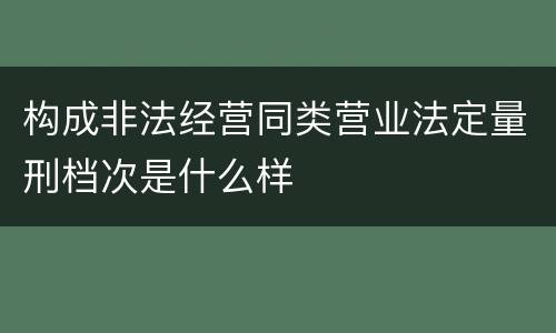 构成非法经营同类营业法定量刑档次是什么样