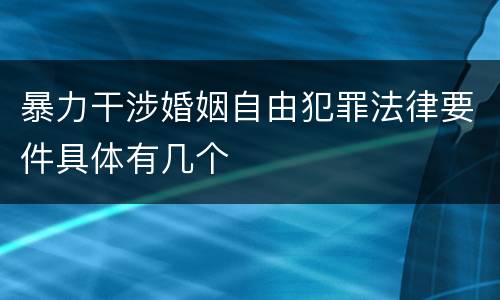 暴力干涉婚姻自由犯罪法律要件具体有几个