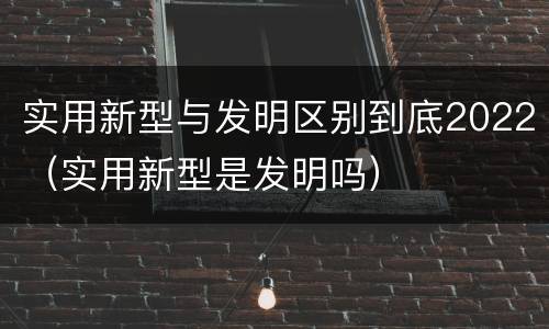 实用新型与发明区别到底2022（实用新型是发明吗）