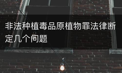 非法种植毒品原植物罪法律断定几个问题