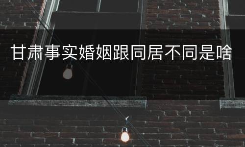甘肃事实婚姻跟同居不同是啥