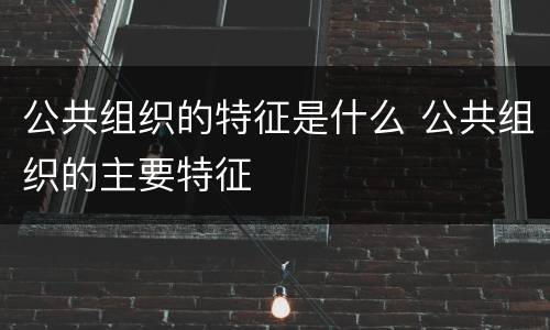 公共组织的特征是什么 公共组织的主要特征