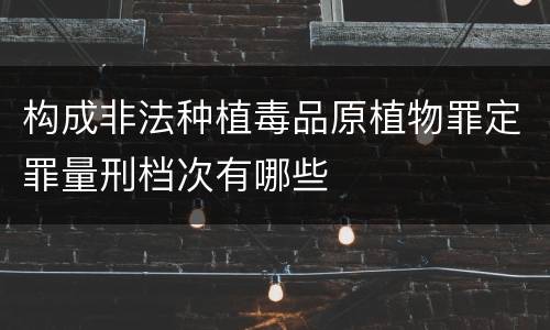 构成非法种植毒品原植物罪定罪量刑档次有哪些