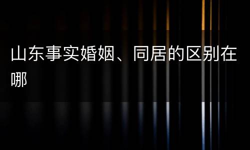 山东事实婚姻、同居的区别在哪