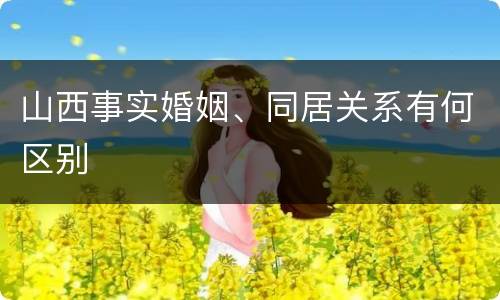 山西事实婚姻、同居关系有何区别