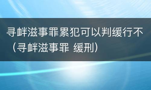 寻衅滋事罪累犯可以判缓行不（寻衅滋事罪 缓刑）