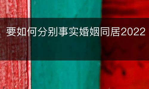 要如何分别事实婚姻同居2022