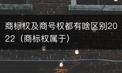 商标权及商号权都有啥区别2022（商标权属于）