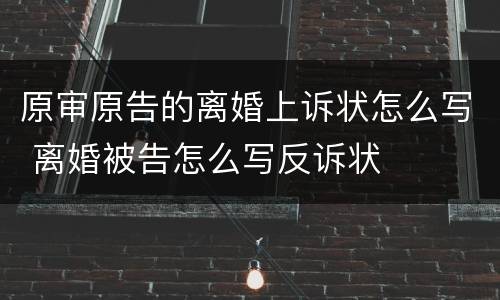 原审原告的离婚上诉状怎么写 离婚被告怎么写反诉状