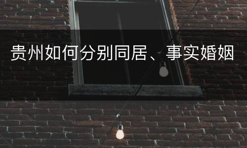 贵州如何分别同居、事实婚姻