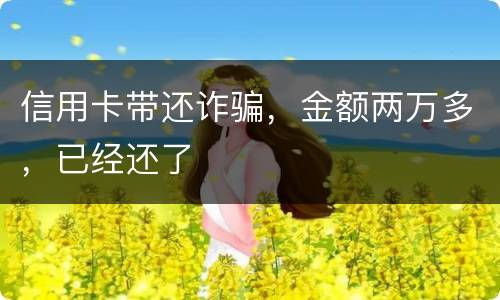 信用卡带还诈骗，金额两万多，已经还了