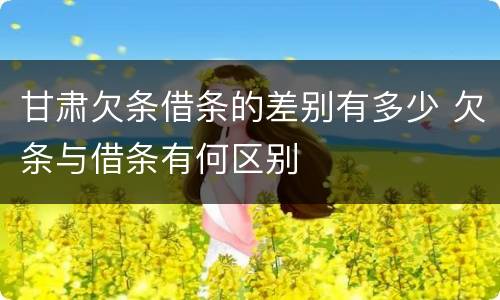 甘肃欠条借条的差别有多少 欠条与借条有何区别