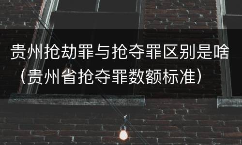贵州抢劫罪与抢夺罪区别是啥（贵州省抢夺罪数额标准）