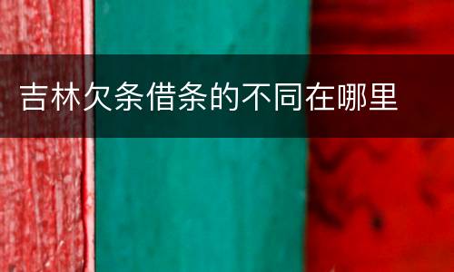 吉林欠条借条的不同在哪里