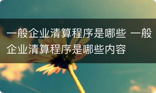 一般企业清算程序是哪些 一般企业清算程序是哪些内容
