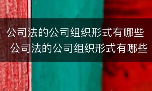 公司法的公司组织形式有哪些 公司法的公司组织形式有哪些种类