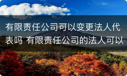 有限责任公司可以变更法人代表吗 有限责任公司的法人可以变更吗