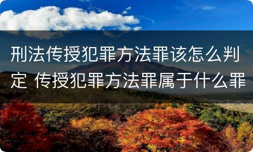 刑法传授犯罪方法罪该怎么判定 传授犯罪方法罪属于什么罪